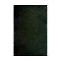 Easiframe 8.2x12.5' Cyclorama  Picture