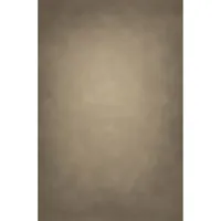 Easiframe 8.2x12.5' Cyclorama  Picture
