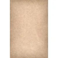 Easiframe 8.2x12.5' Cyclorama  Picture