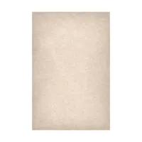 Easiframe 8.2x12.5' Cyclorama  Picture