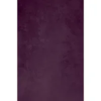 Easiframe 8.2x12.5' Cyclorama  Picture