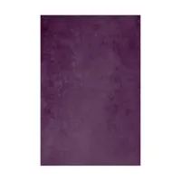 Easiframe 8.2x12.5' Cyclorama  Picture