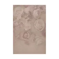 Easiframe 8.2x12.5' Cyclorama  Picture