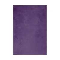 Easiframe 8.2x12.5' Cyclorama  Picture