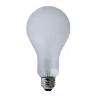 Lamp EBV PhotoFlood 500w 120v  Picture