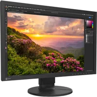 Eizo ColorEdge CS2400S 24.1" 1 Picture