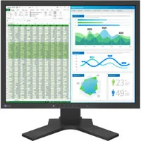 Eizo FlexScan S2134 21.3" 4:3  Picture