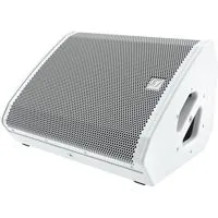 Electro-Voice MFX-12MC 12" 300 Picture