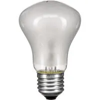 Elinchrom 100 watt, 90 volt Ha Picture