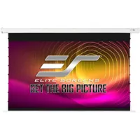 Elite Screens VMAX Tab-Tension Picture