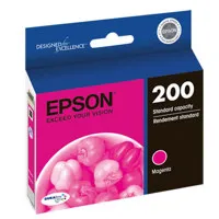 Epson For the Expression Home  Picture