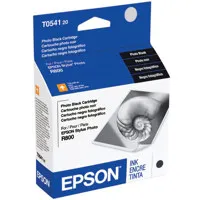 Epson Photo Black Ink Cartridg Picture