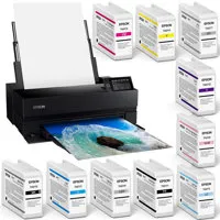 Epson SureColor P900 17" Wide  Picture
