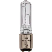 Lamp ESR Studio 100w 120v Picture