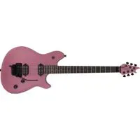 EVH Wolfgang Special Electric  Picture