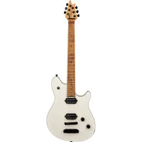 EVH Wolfgang Special Baked Map Picture