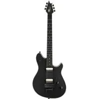 EVH Wolfgang USA Electric Guit Picture
