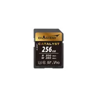 Exascend Essential 256GB UHS-I Picture