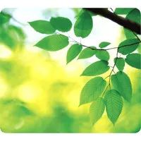 Fellowes Recycled Mouse Pad, L Picture