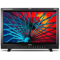 Flanders Scientific DM242 24"  Picture