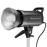 Flashpoint Studio 300 Monoligh Picture
