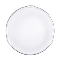 Flashpoint 7 Inch Flash Diffus Picture