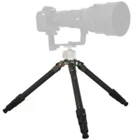 FotoPro TS-84C 4-Section Carbo Picture