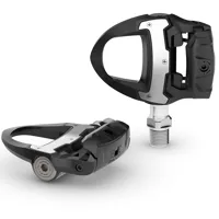 Garmin Rally RS110 Single-Sens Picture
