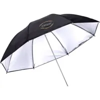 Glow 40" Silver Umbrella Picture