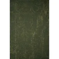 Gravity Backdrops Hand Painted Picture