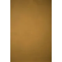 Gravity Backdrops Hand Painted Picture