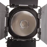 Hive Lighting Wasp 100-C Omni- Picture