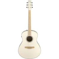 Ibanez Advanced Acoustic Serie Picture