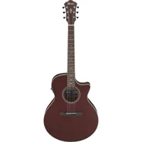 Ibanez AE Series AE100 Acousti Picture