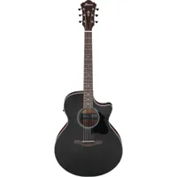 Ibanez AE Series AE140 Acousti Picture