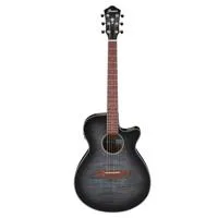 Ibanez AEG70 6-String Semi-Aco Picture