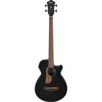 Ibanez AEG Series AEGB24E Acou Picture