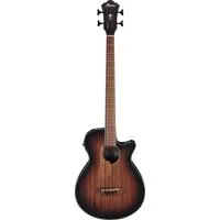Ibanez AEG Series AEGB24E Acou Picture