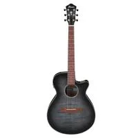 Ibanez AEG70 Acoustic Electric Picture