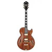 Ibanez AG Artcore Expressionis Picture