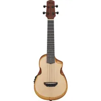 Ibanez AU Series AUC10E Acoust Picture