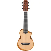 Ibanez AU Series AUP10N 6-Stri Picture