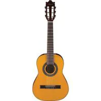Ibanez Classical Series GA1 Ac Picture