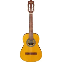 Ibanez Classical Series GA1 1/ Picture