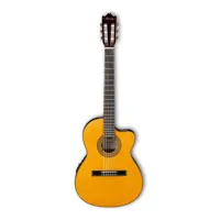 Ibanez Classical Series GA5TCE Picture