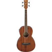 Ibanez PNB14E Parlor Acoustic  Picture