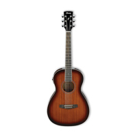 Ibanez Performance Series PN12 Picture
