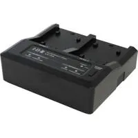 IDX LC-2A 2-Channel Simultaneo Picture