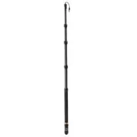 Ikan E-Image BC12P 12' Carbon  Picture
