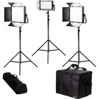 Ikan Lyra Bi-Color 3-Point LED Picture